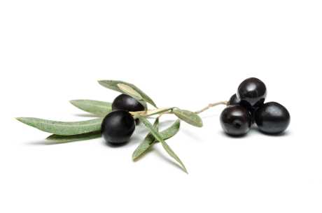 Oliven mot psoriasis
